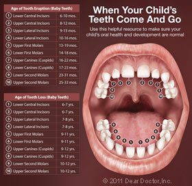 Your Child's First Teeth